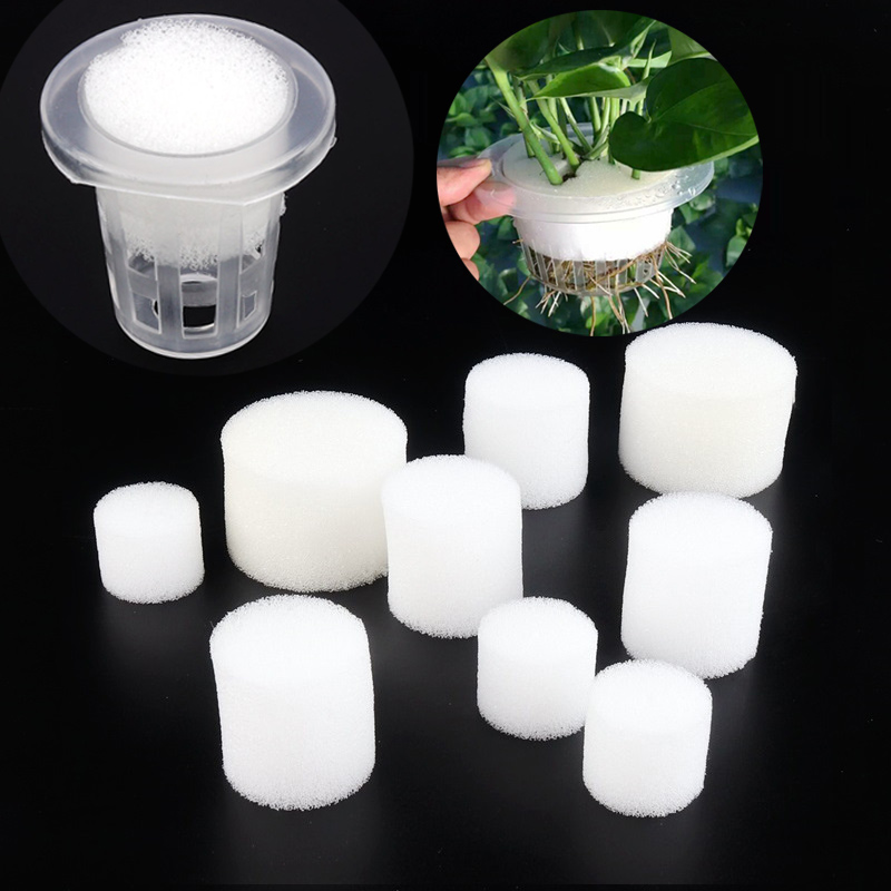Food Storage Plants - 50 sztuk biała siatka kubek gąbka