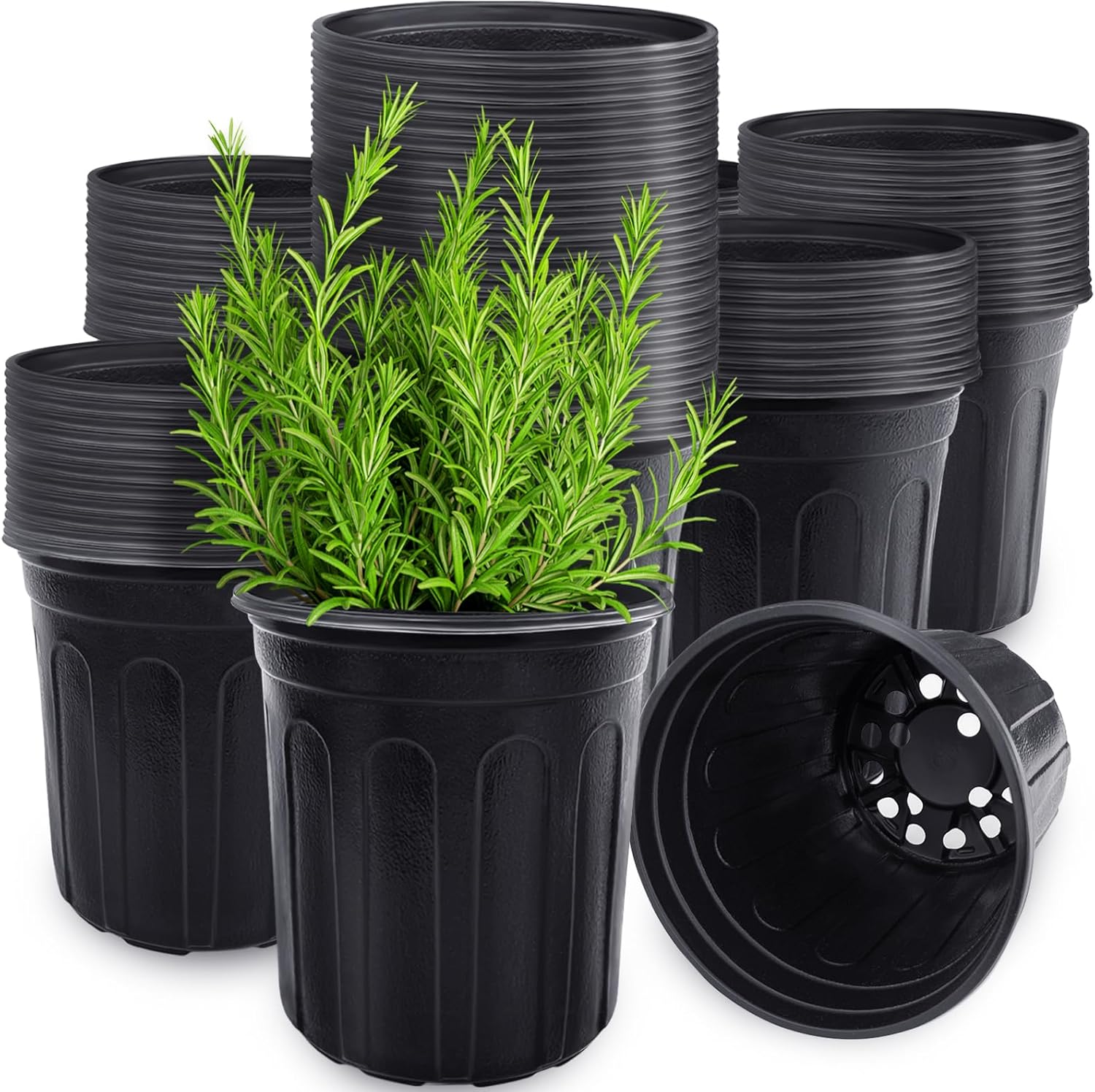Food Storage Plants - 60 szt. Elastyczne doniczki szkółkarskie o