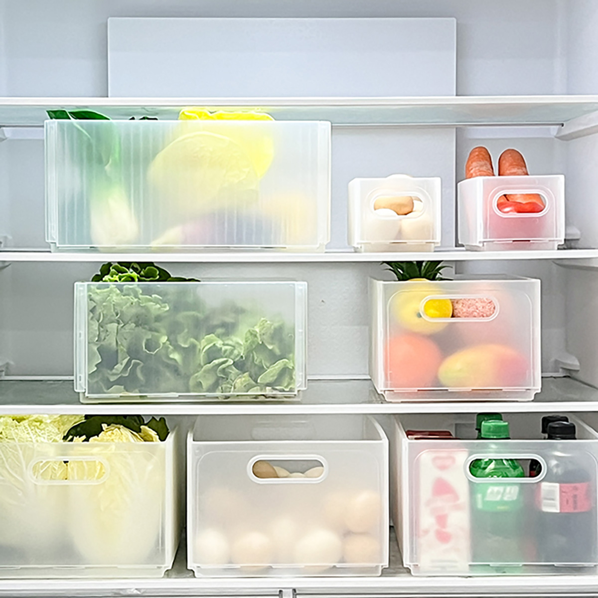 WORTHBUY Plastikowy Składany P – Food Storage Without Plastic recenzja i cena