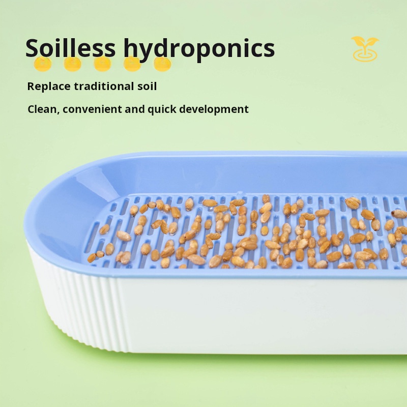 Łatwy w uprawie hydroponiczny  – Food Storage Plants recenzja i cena