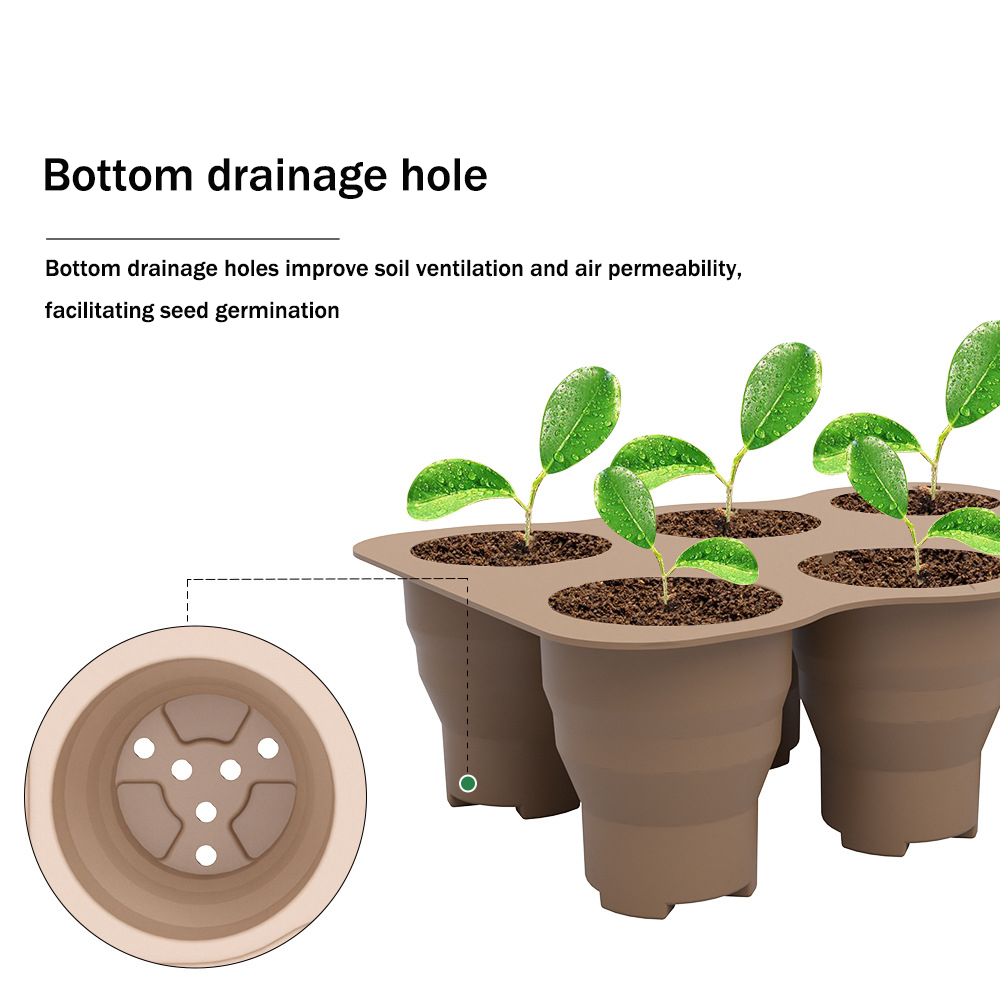 1szt 6Holes Silikonowa taca do – Food Storage Plants recenzja i cena