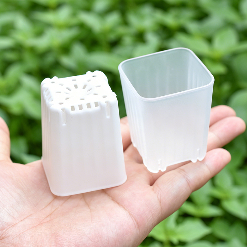 50-100 szt. 4cm Mini Grube Bia – Food Storage Plants recenzja i cena