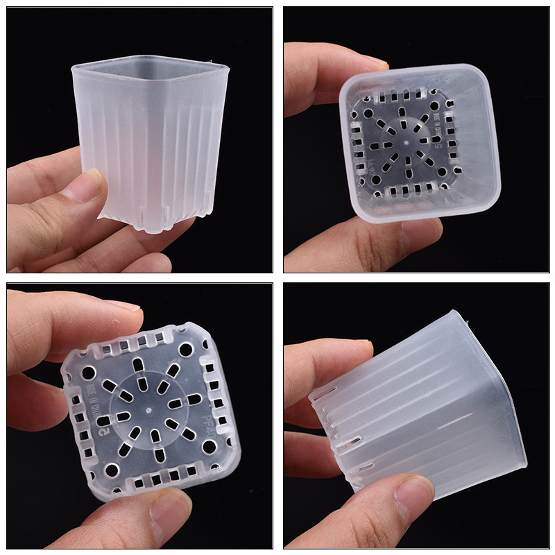 50-100 szt. 4cm Mini Grube Bia – Food Storage Plants recenzja i cena