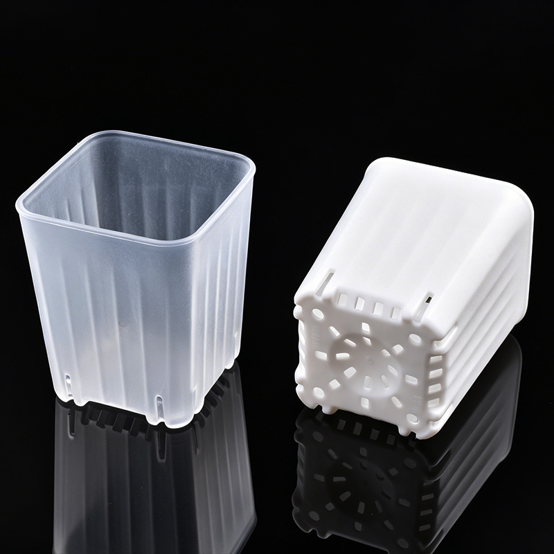 50-100 szt. 4cm Mini Grube Bia – Food Storage Plants recenzja i cena