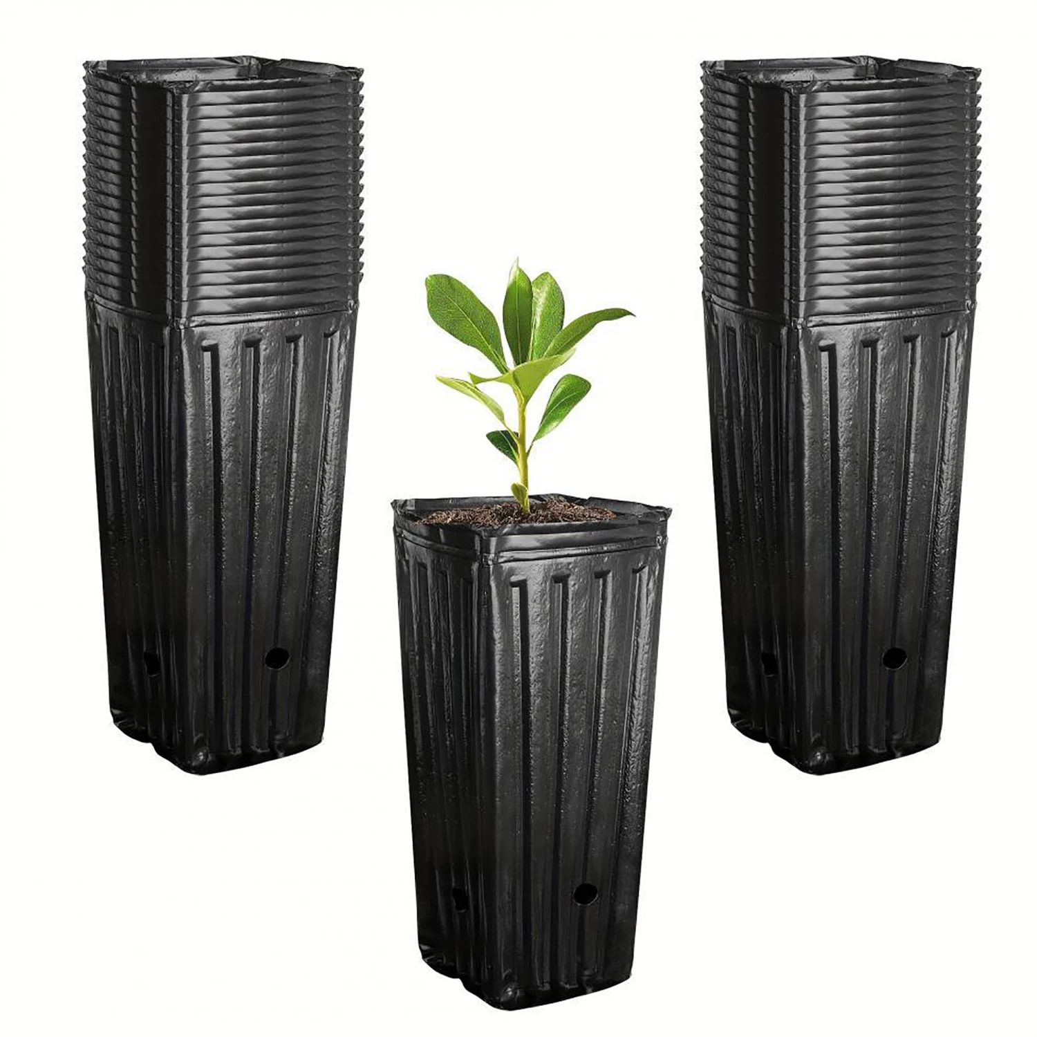 10 szt. Wysokie Kwadratowe Don – Food Storage Plants recenzja i cena