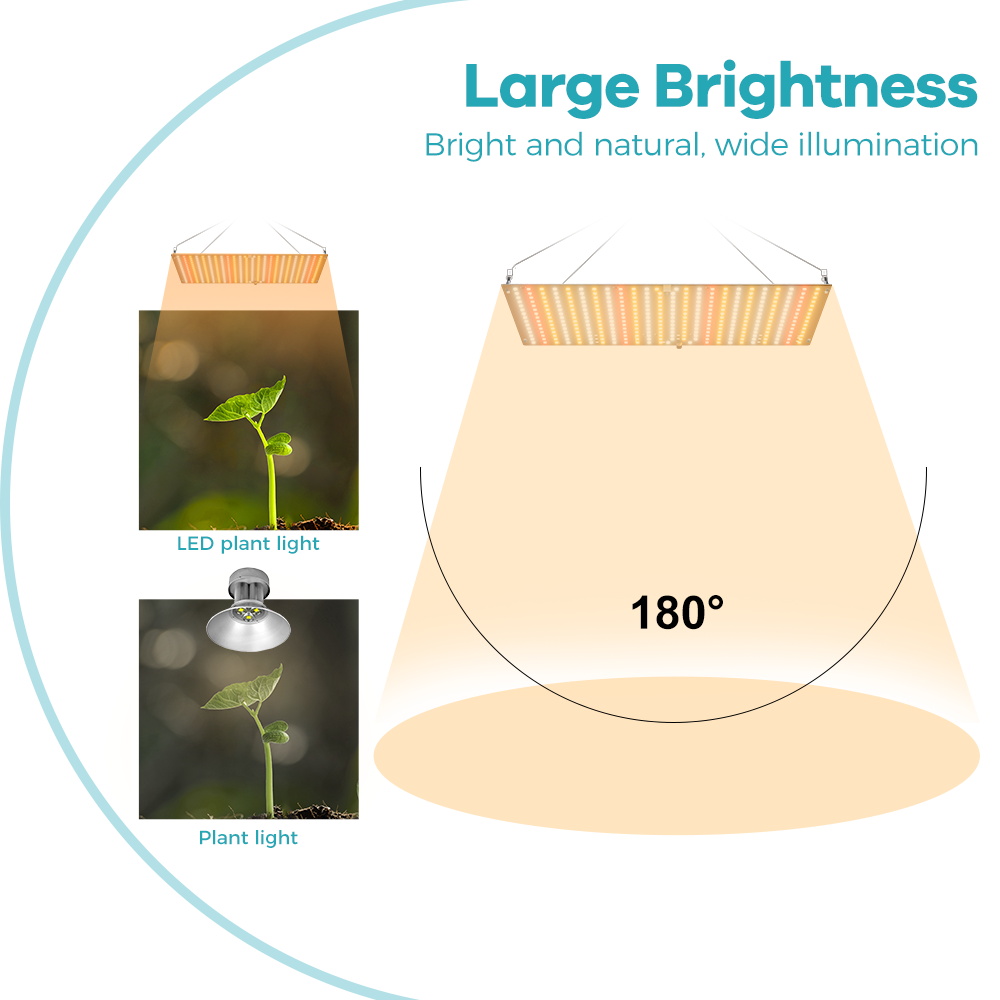 Lampa LED do uprawy roślin 350 – Food Storage Plants recenzja i cena