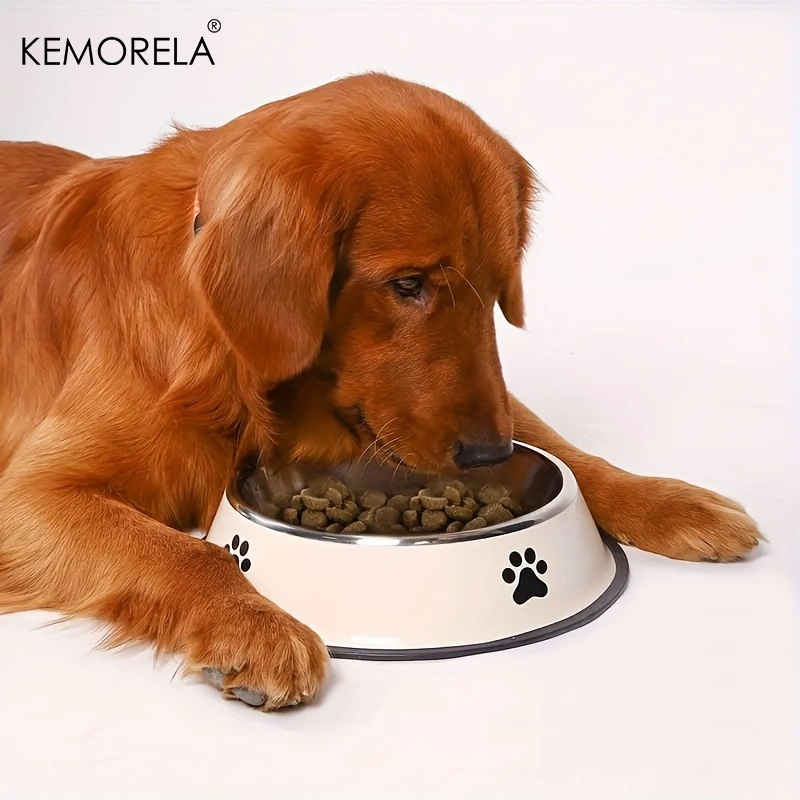 Miska dla psa ze stali nierdze – Xxl Food Storage Container recenzja i cena