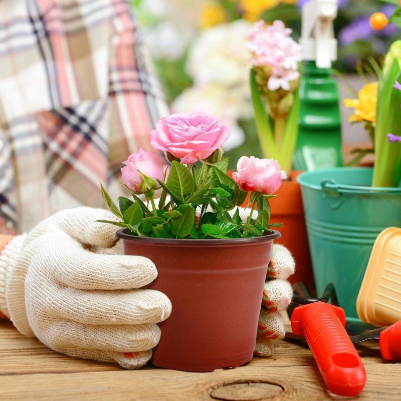 Elastyczne plastikowe doniczki – Food Storage Plants recenzja i cena