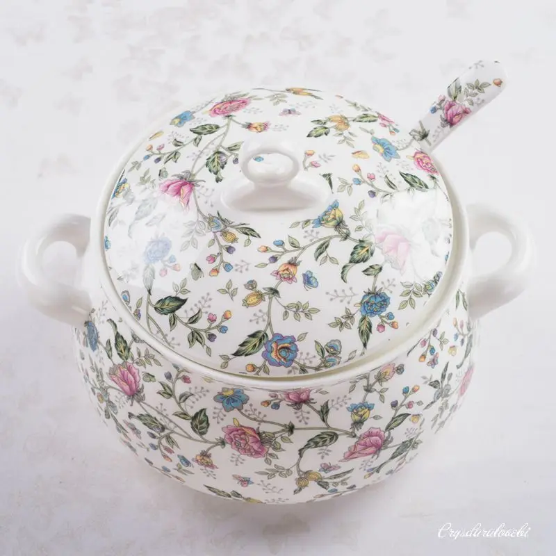 9-calowa, porcelanowa misa do  – Food Storage Plants recenzja i cena