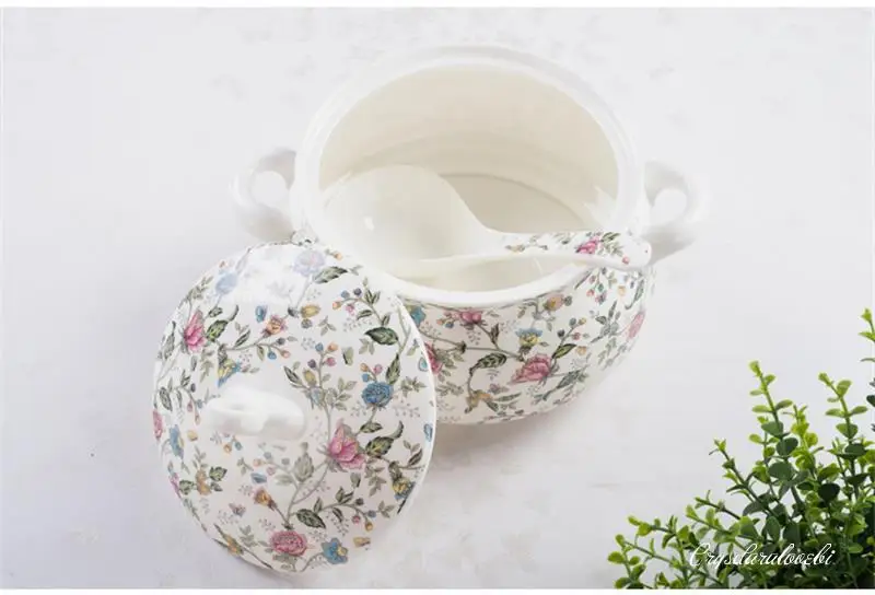9-calowa, porcelanowa misa do  – Food Storage Plants recenzja i cena