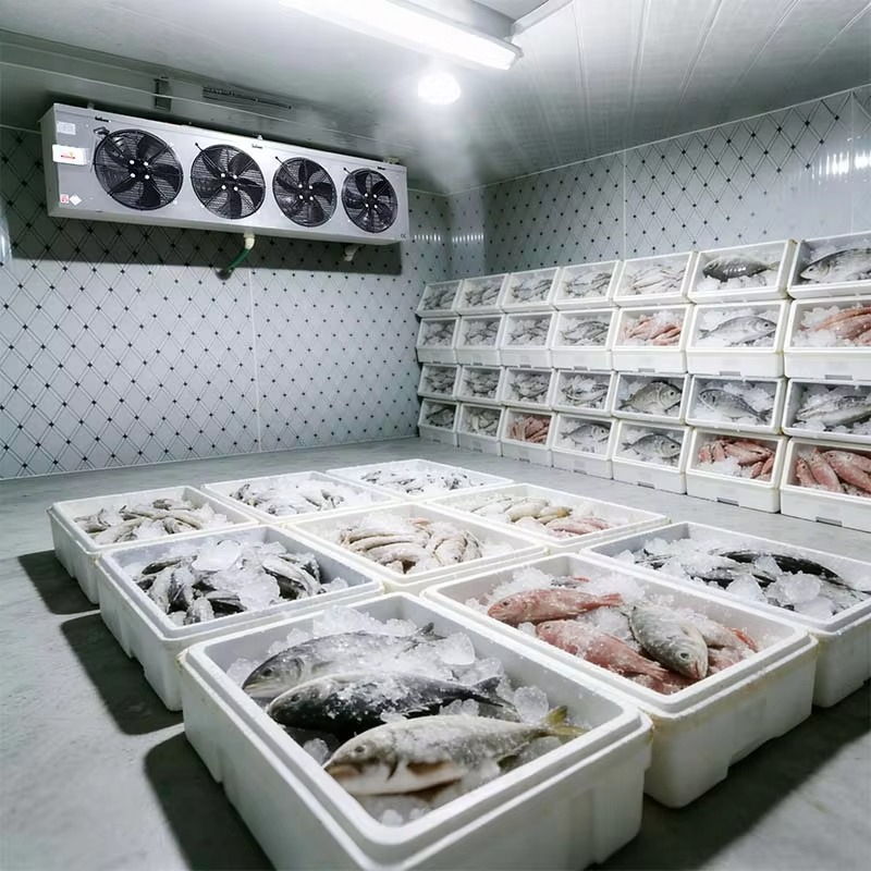 Dostosowane do potrzeb, higien – Food Storage And Safety recenzja i cena