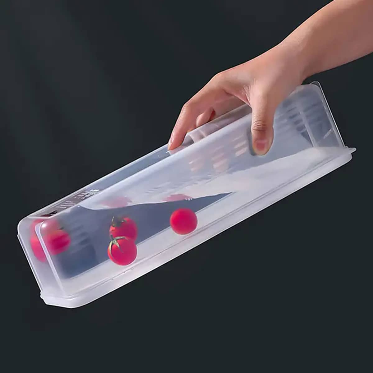 1 Plastikowy Przezroczysty Poj – Food Storage Box Plastic recenzja i cena